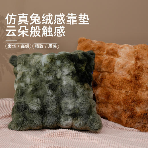 罗莱软装 梦幻兔绒抱枕 50*50cm 商品图2