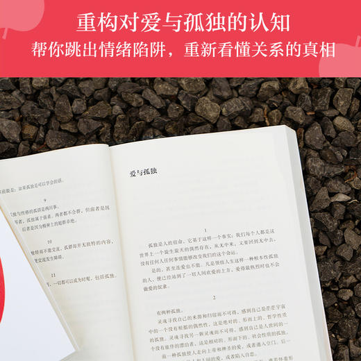 爱与孤独（周国平写给当代青年的浪漫哲思录，写透人的内心深处的永恒命题。） 商品图2