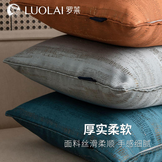 罗莱软装 光落冰峰抱枕 商品图3
