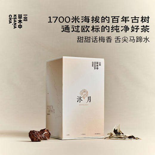 沐月·月光白茶 | 功夫口粮系列 | 50g原叶｜白茶类 商品图0