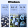 【云南花香蓝莓】花香蓝莓脆甜可口，自然成熟营养超丰富！100g/杯*5 礼盒款！ 商品缩略图3
