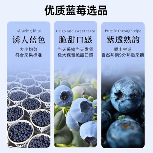 【云南花香蓝莓】花香蓝莓脆甜可口，自然成熟营养超丰富！100g/杯*5 礼盒款！ 商品图3