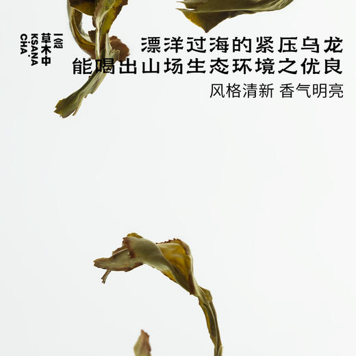 漳州河·漳平水仙 | 进阶原叶系列 | 50g原叶 | 乌龙茶类 商品图1