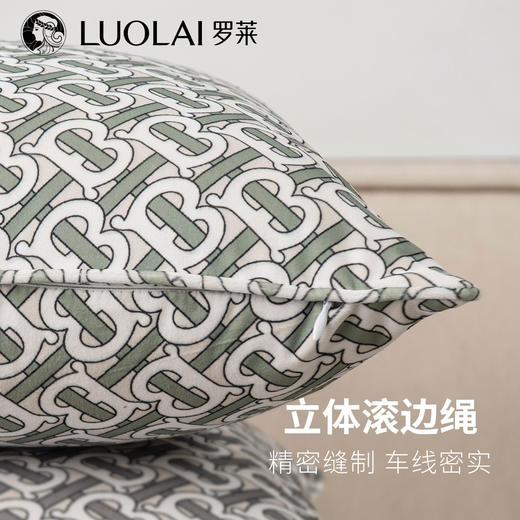 罗莱软装 典雅抱枕 45*45cm 商品图3