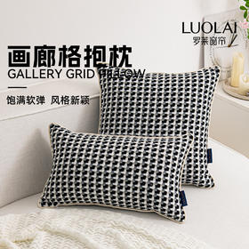 罗莱软装 画廊格抱枕