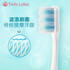 4支 双莲莲花手柄成人牙刷  A-5484 商品缩略图12