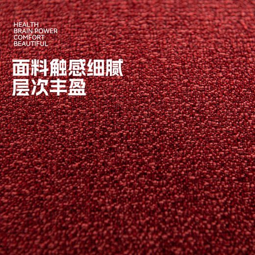 罗莱软装  欢天喜地抱枕 30*50cm 商品图2