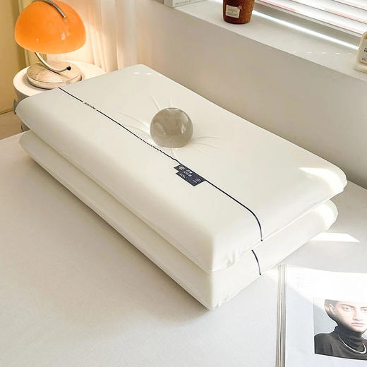 亏本清仓❗️睡一晚就忘不掉的枕头❗️ 某朵同款记忆枕❗️仰睡头部自然下陷❗稳稳支撑颈椎❗侧睡不压脸耳 商品图2