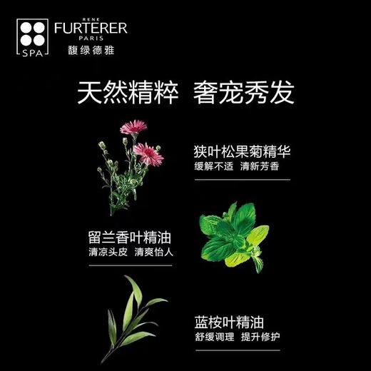 馥绿德雅清爽舒缓洗发水250ML 温和洗护去屑控油 商品图4