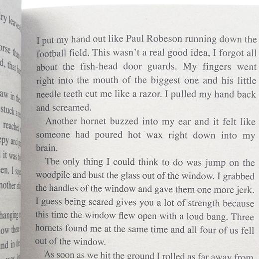 华研原版 我叫巴德不叫巴弟 英文原版书 Bud Not Buddy 纽伯瑞儿童文学奖 巴德 不是巴迪 全英文版小说儿童读物 进口英语书籍 商品图2