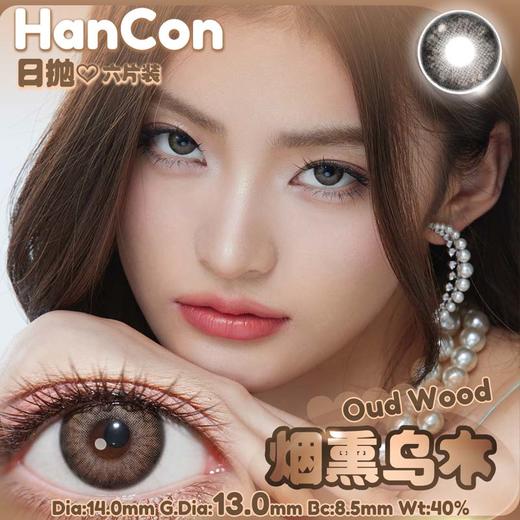 hancon 日抛（6片装）  烟熏乌木 直径14.0mm着色13.0mm 商品图2