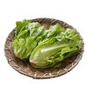 每日伊藤奶油生菜 约250g/袋（新鲜） 商品缩略图3