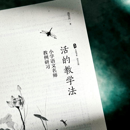 活的教学法 小学语文名师教例研习 大夏书系 语文之道 汲安庆 语文教学研究 商品图4