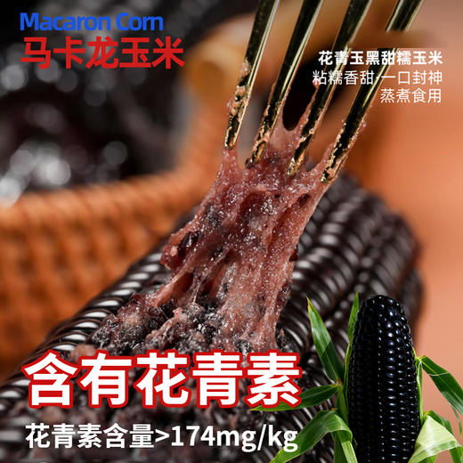 微玉 马卡龙玉米 低脂代餐粗粮香甜糯玉米真空包装 1.2kg 商品图3