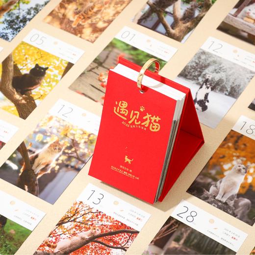 【2026日历】遇见猫·2026猫日历 商品图3