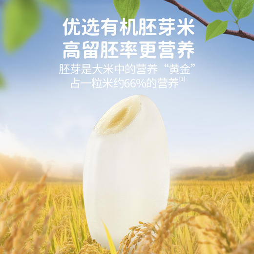 【有机胚芽米饼】6个月+无添加盐磨牙棒 商品图2