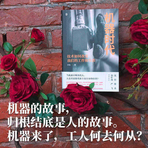 (签名本）机器时代：技术如何改变我们的工作和生活 | 社会学家许怡历时七年，亲下制造业一线的深度观察。沈原、蔡禾、郑作彧、严飞诚挚推荐！ 当机器不断替代人，人是否还能重新主张自身的位置？ 商品图3