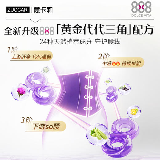 [社群专属] zuccari意卡莉 888小腰饮净肝 纤体提内脂代谢 瘦腰腹 商品图5
