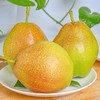库尔勒香梨 商品缩略图2