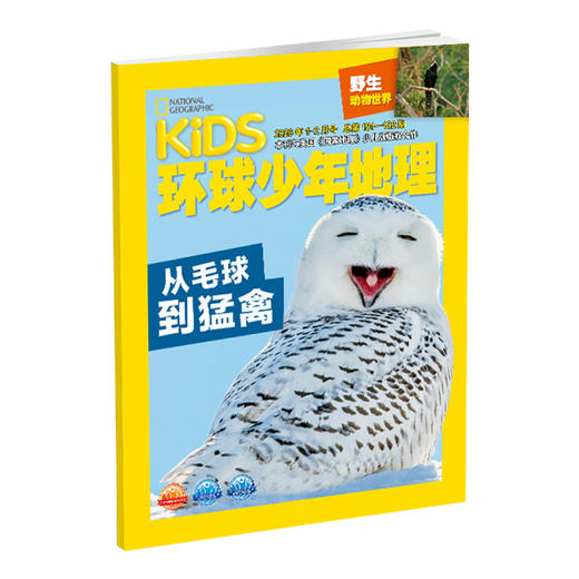《环球少年地理》  野生动物世界 2026新刊征订 商品图1