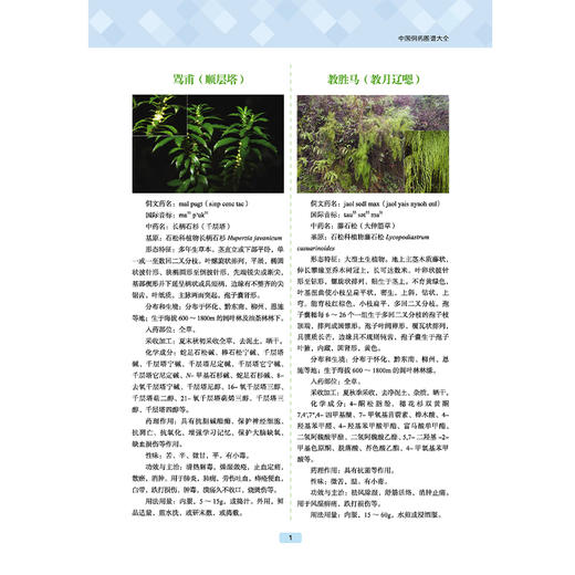 中国侗药图谱大全 中国侗医药丛书 汪冶 张在其 郑钦方 收载侗药2068种 内容有侗药的彩色图片侗药的汉字记音等 中国中医药出版社 商品图4