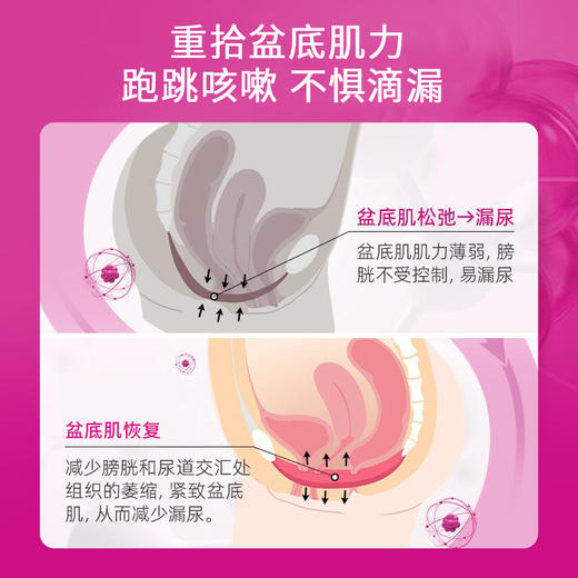 EZZ 盆底肌胶囊南瓜籽蔓越莓圣洁莓盆底肌胶囊60粒/瓶 hr13 商品图2