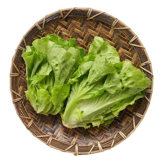 每日伊藤奶油生菜 约250g/袋（新鲜） 商品图2
