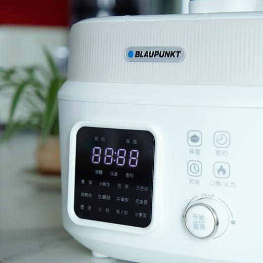 【蓝宝双盖电压力锅4L】是压力锅也是汤锅  煮饭/煲汤都可以~ 商品图9