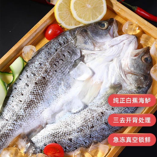 鲜到鲜得白蕉海鲈 海鲈鱼1050g*1包/2包 到手3条/6条 地标天成 三去处理 真空锁鲜 商品图3