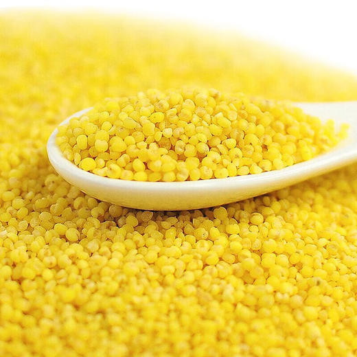 孟克河 高档有机敖汉小米礼盒5kg（500g*10） 商品图2