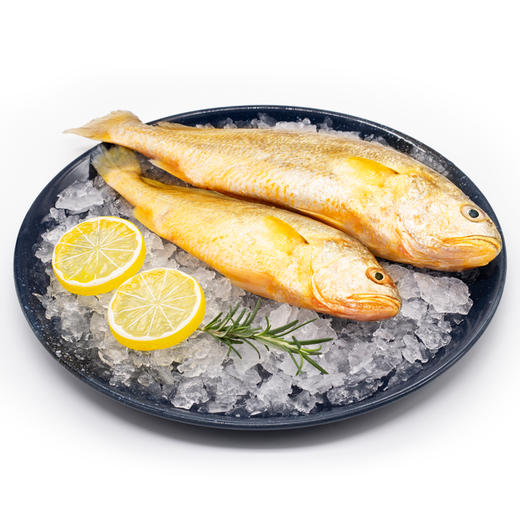 【润荇渔市200-100】优选国产海捕小黄鱼 300g/袋  鲜捕加工口感细腻 商品图2