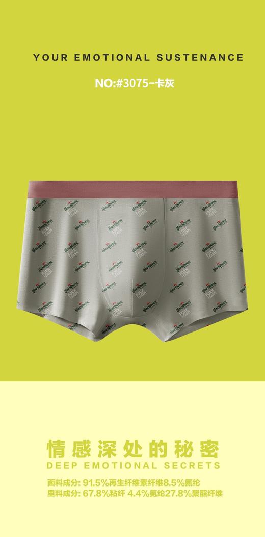 男士高品质无痕内裤莫代尔时尚印花高弹舒适亲肤平角裤3075 商品图2