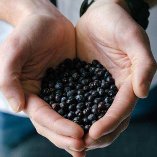 心选丨小兴安岭白桦树汁蓝莓干500/袋 休闲食品坚果零食 商品图3