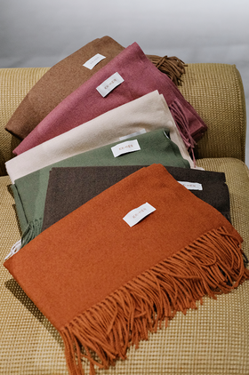 ENJOYME——围系温度