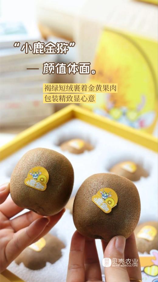 国产金果 商品图7