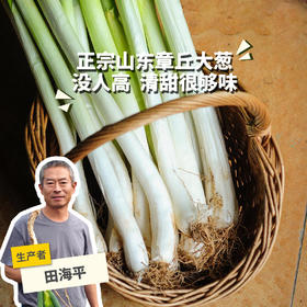 生态章丘大葱 | 合作生产*Ecological Scallion | Partner Production