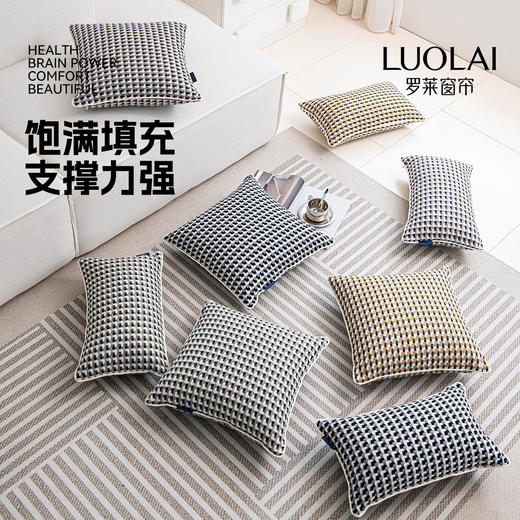 罗莱软装 画廊格抱枕 商品图5