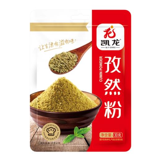 30g 凯龙 孜然【粉】 烧烤炒菜煎炸肉串 调味佐料 家用小包装袋装孜然粉 商品图0