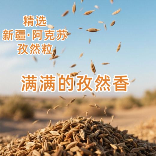 30g 凯龙 孜然【粒】 烧烤炒菜油炸小吃厨房调味佐料 家用小袋装调味料 商品图1