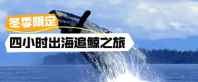 寒假日本冲绳追鲸5日亲子，世遗山原探秘，冲绳原住民民俗体验