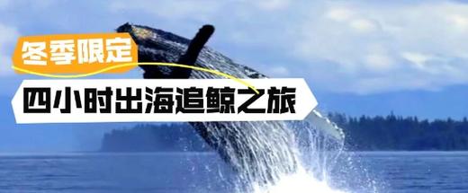 寒假日本冲绳追鲸5日亲子，世遗山原探秘，冲绳原住民民俗体验 商品图0