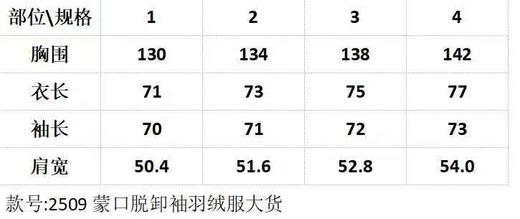 D110625新款Cyclone二合一可拆卸袖子鹅绒羽绒服男女同款 商品图13