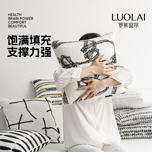 罗莱软装 画意流光抱枕 商品图5
