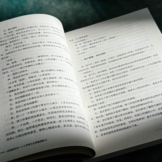 活的教学法 小学语文名师教例研习 大夏书系 语文之道 汲安庆 语文教学研究 商品图7