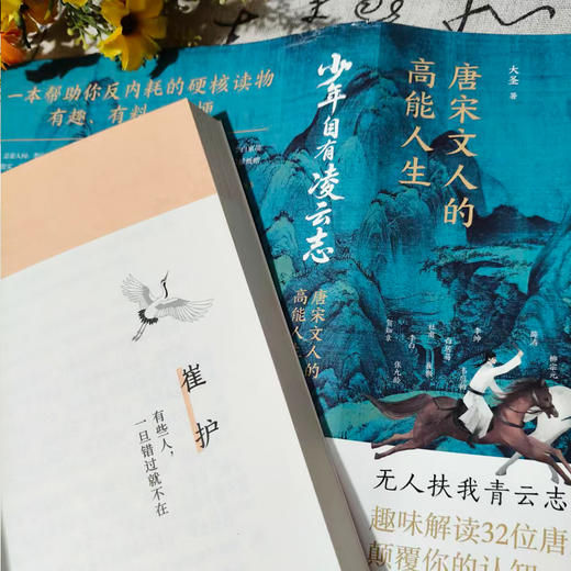 少年自有凌云志：唐宋诗人的高能人生 大圣 著 商品图6
