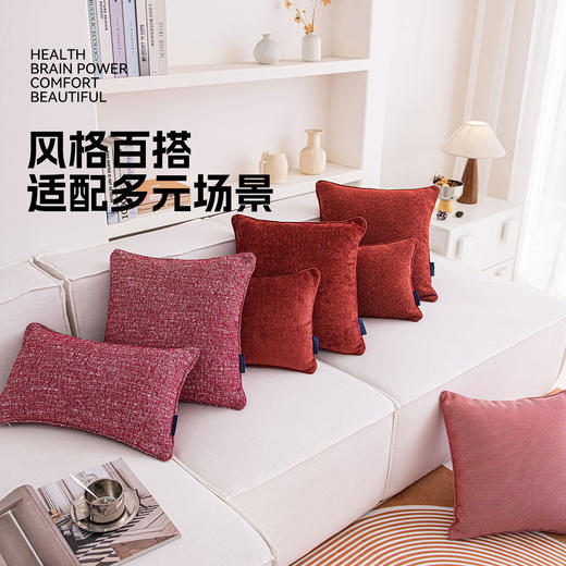 罗莱软装  欢天喜地抱枕 30*50cm 商品图4