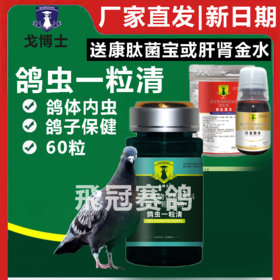 戈博士鸽虫一粒清60粒赛鸽信鸽子体内虫全虫清不伤鸽体赛鸽保健