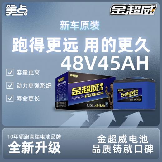 【双十一美点特惠】48V45A 金超威新车原装 武汉到店 商品图0