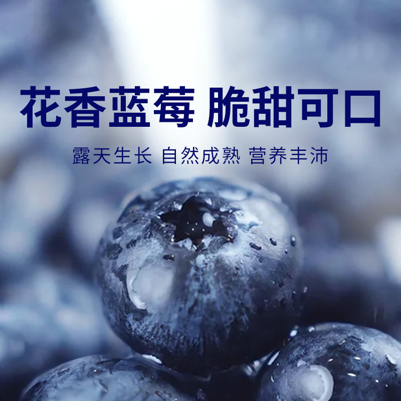 【云南花香蓝莓】花香蓝莓脆甜可口，自然成熟营养超丰富！100g/杯*5 礼盒款！