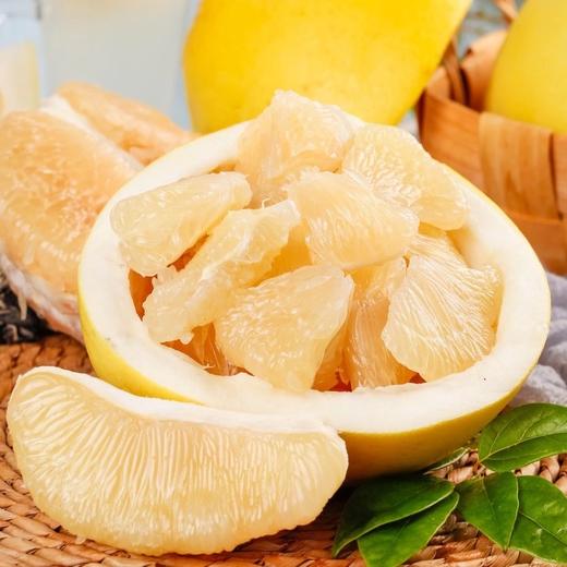 福建白心蜜柚大果 商品图3